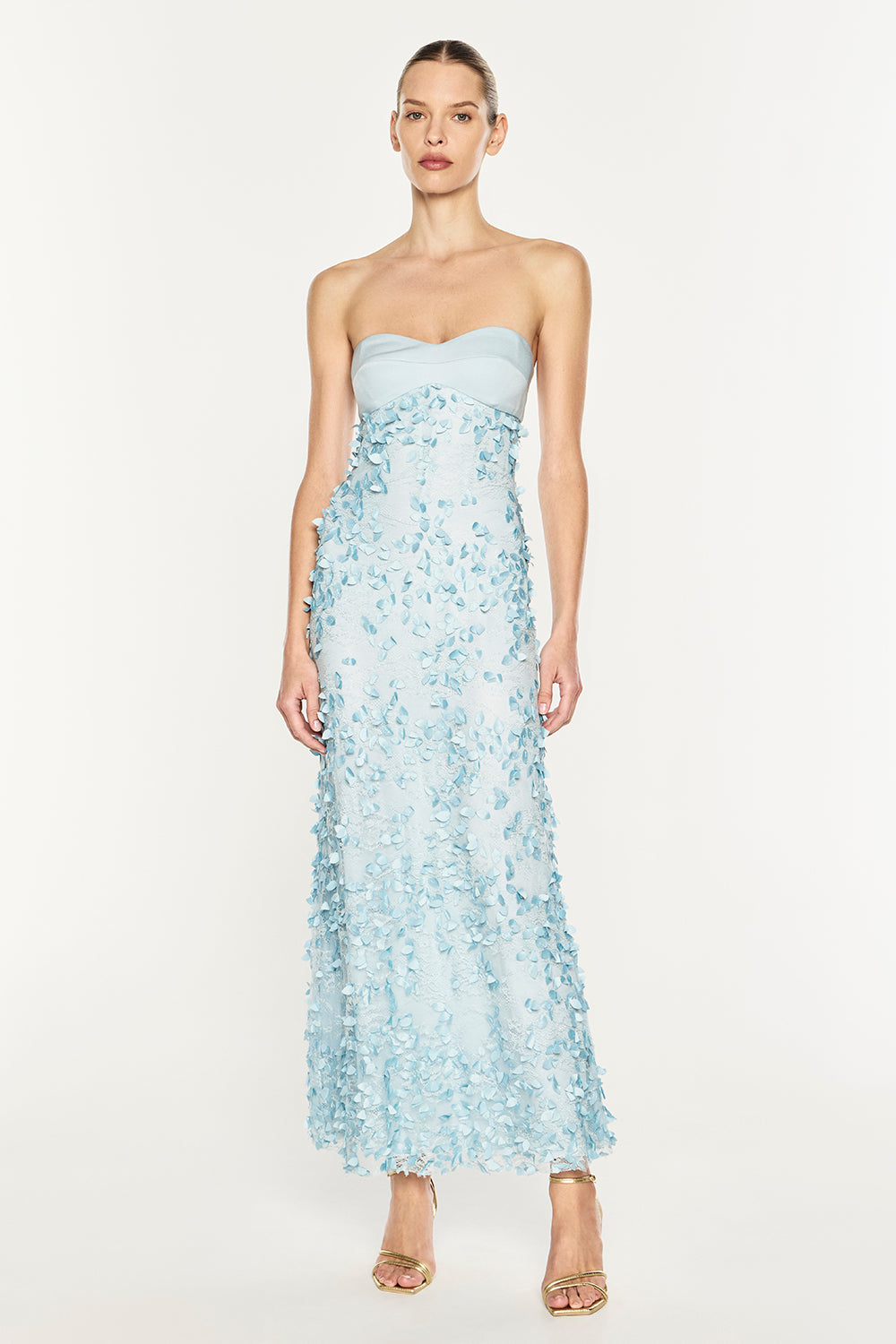 Enchantment Balconette Dress