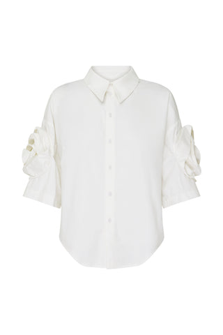 Flights Of Fantasy Shirt