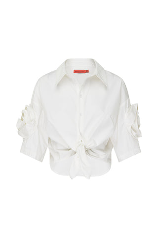 Flights Of Fantasy Shirt