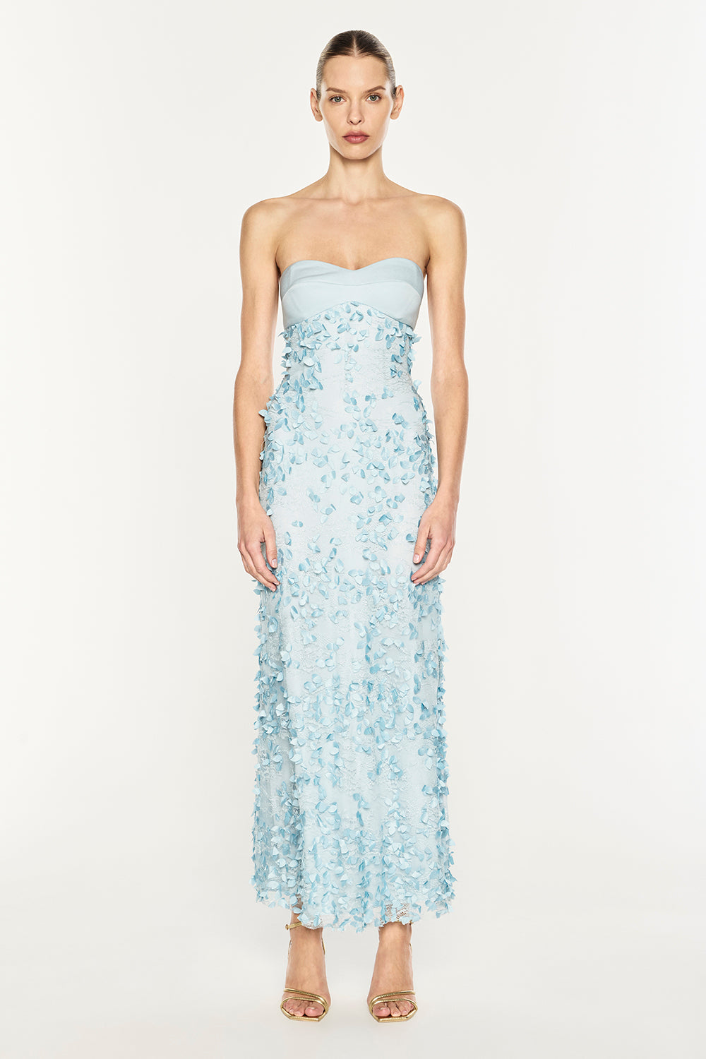 Enchantment Balconette Dress