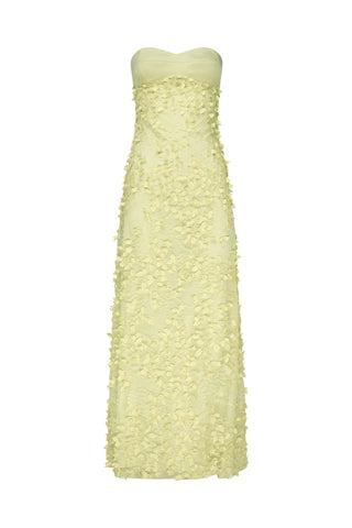 Enchantment Balconette Dress