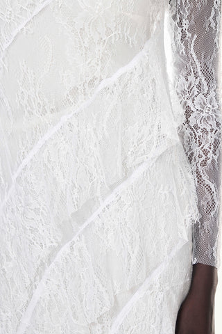 Sheer Bliss Dress